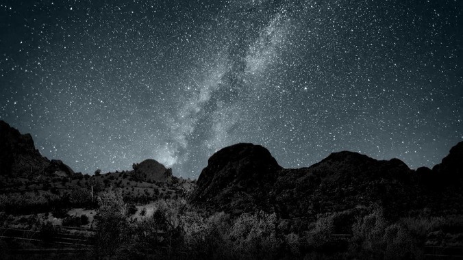 新手养鱼,鱼缸中能放入哪些水草?