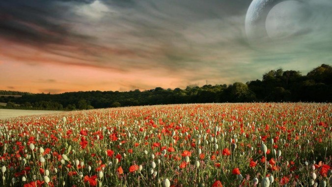 我想问一下什么是爱呢？